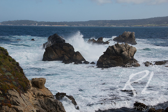 17 Mile Drive Pebble Beach, California