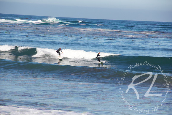 Surfers cutting it up!