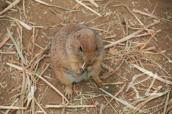 Handsome little guy!