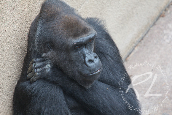 Deep in thought!