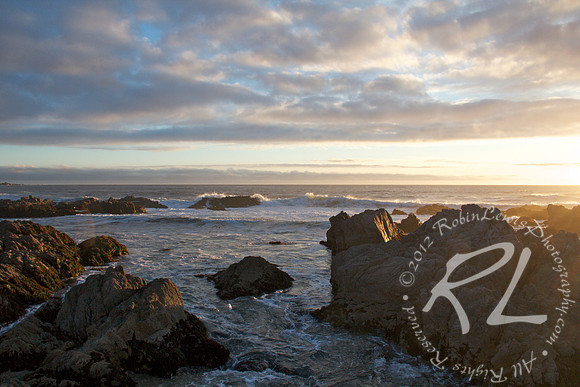 Asilomar State Beach