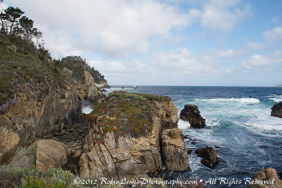 Point Lobos Carmel, California