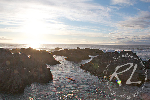 Asilomar State Beach
