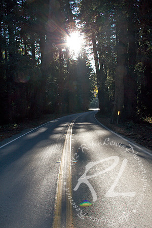 On the road in Big Sur CA