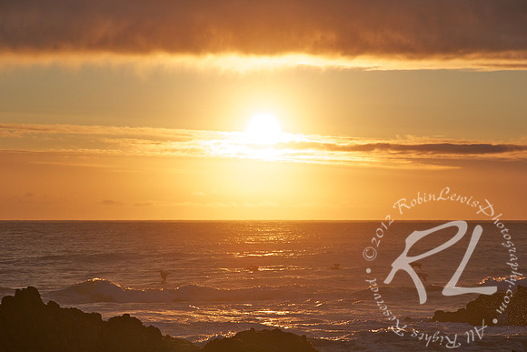Asilomar State Beach