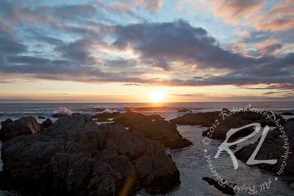 Asilomar State Beach