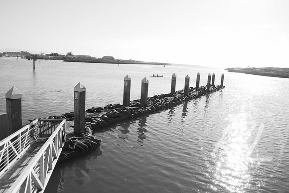 On the dock at Moss Landing