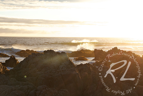 Asilomar State Beach
