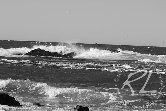 The beauty of the sea in grey!