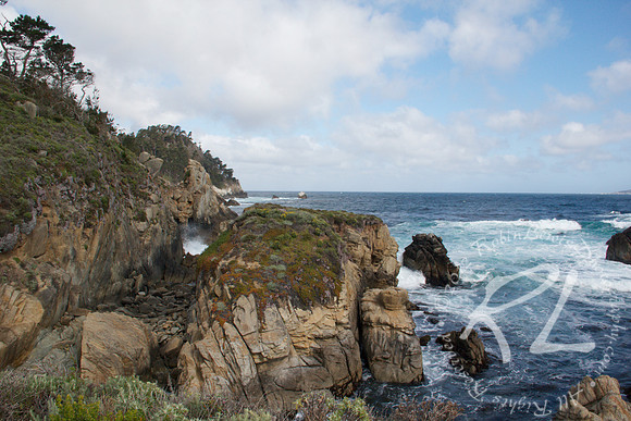 Point Lobos Carmel, California