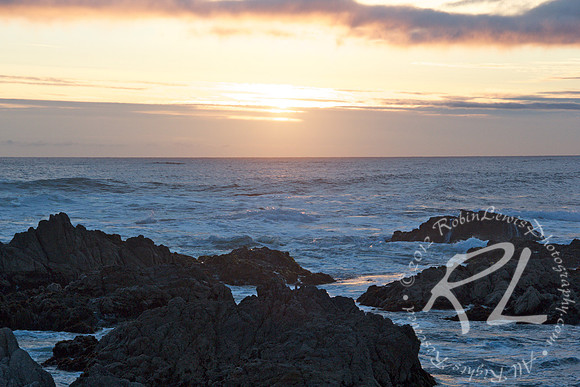 Asilomar State Beach