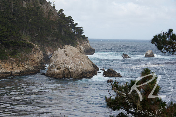 Point Lobos Carmel CA