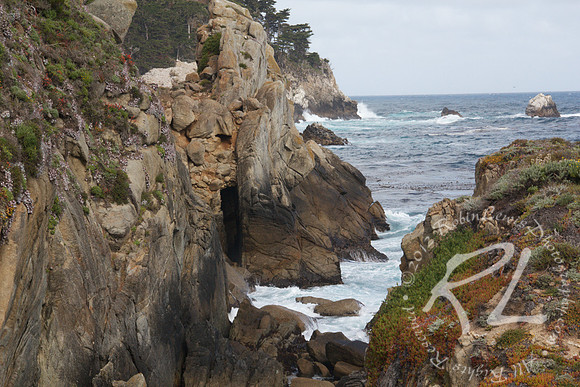 Point Lobos State Natural Reserve