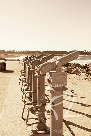 The Telescopes!